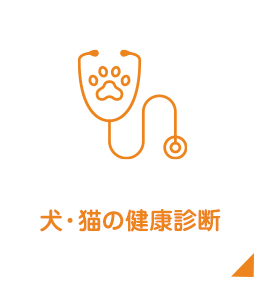 犬・猫の健康診断